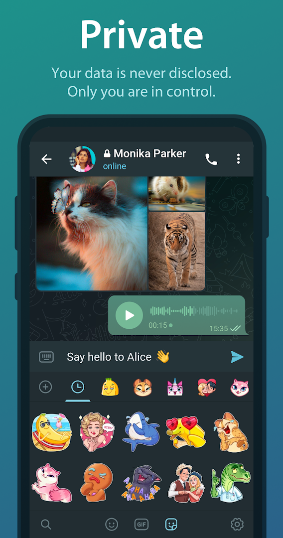 Telegram screenshot 4